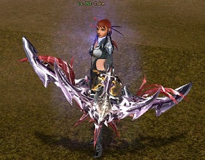 sw1.jpg