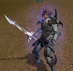 sw2.jpg
